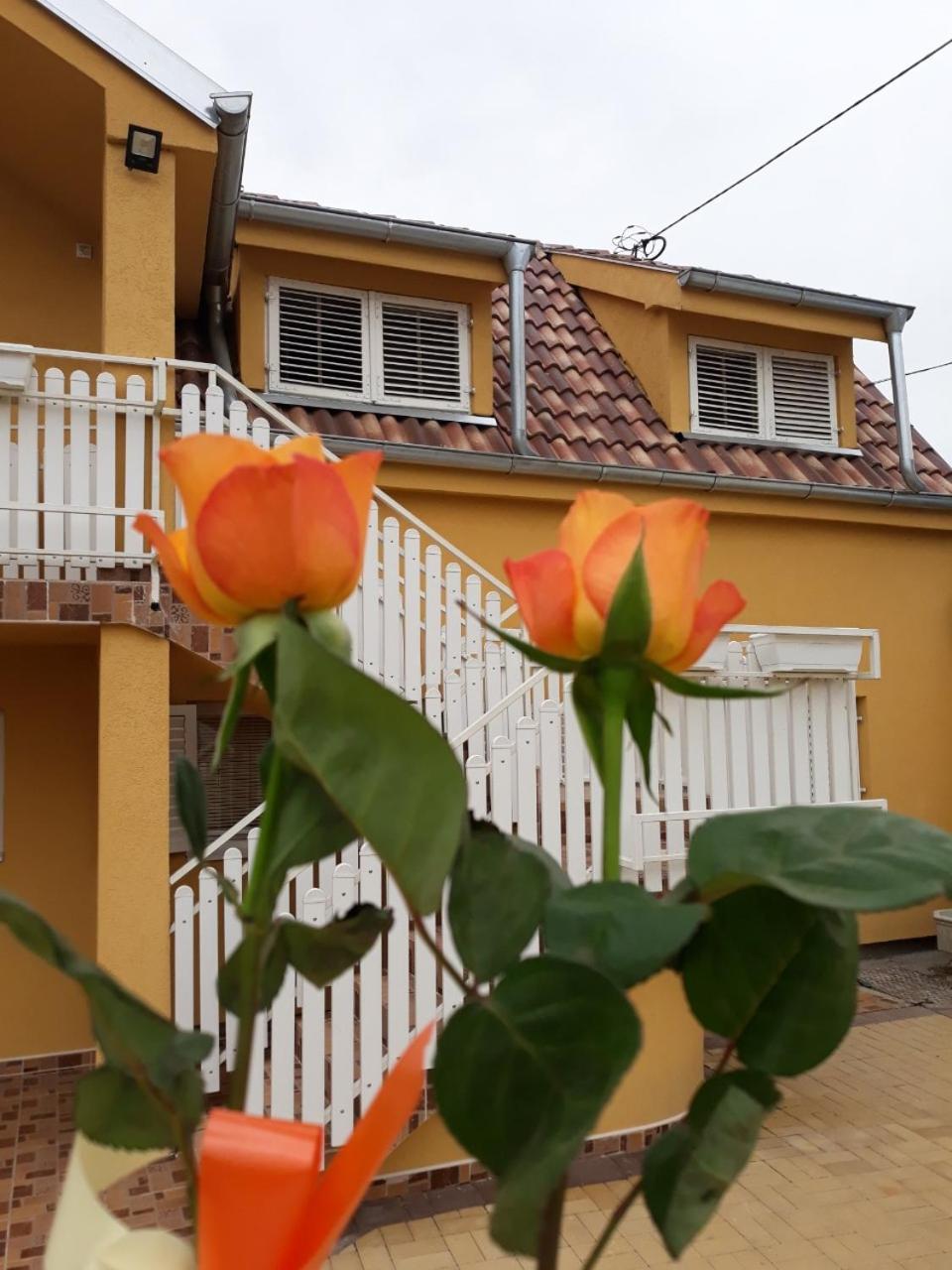 Golden House Apartments Чачак Екстер'єр фото