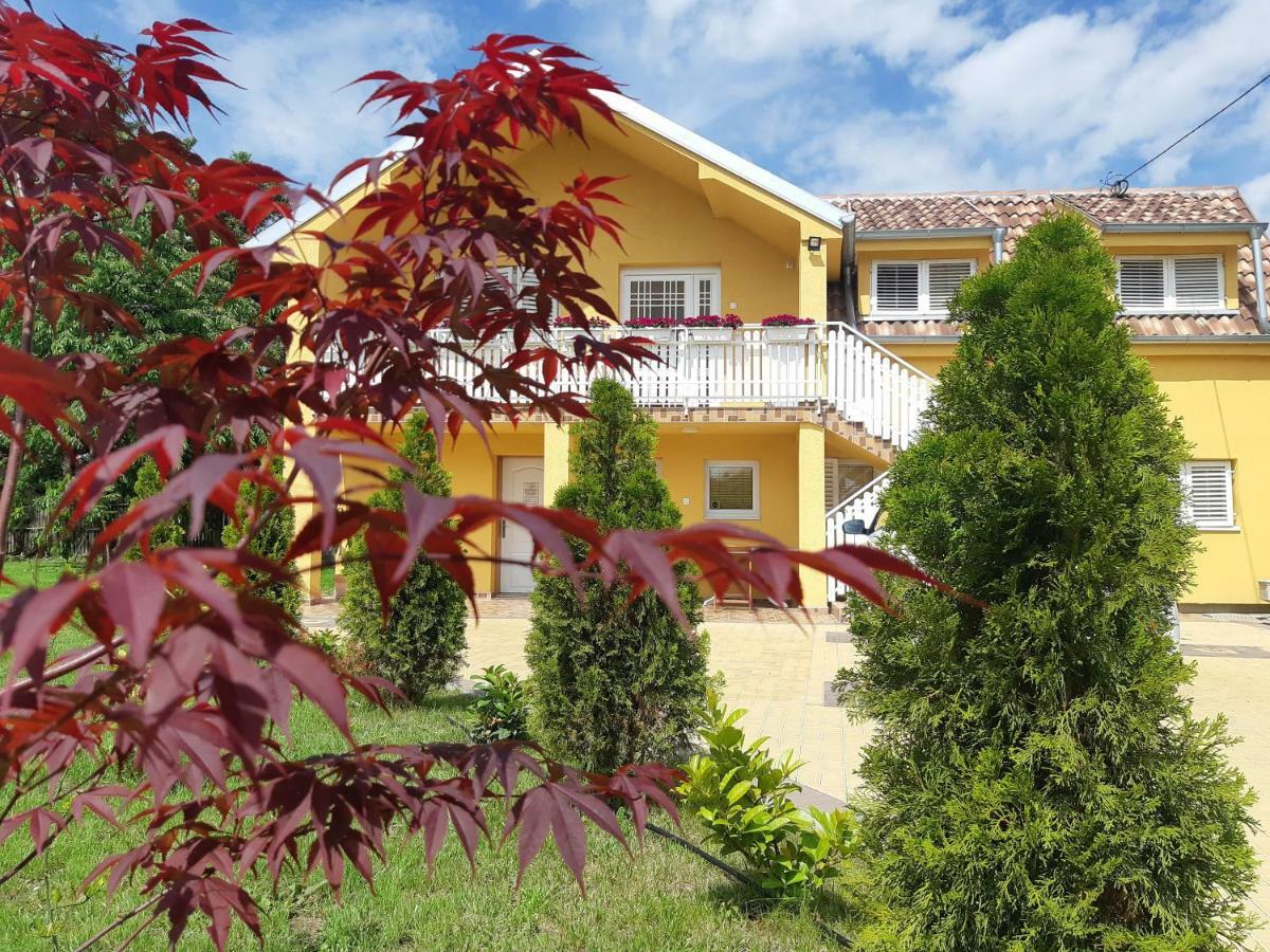 Golden House Apartments Чачак Екстер'єр фото